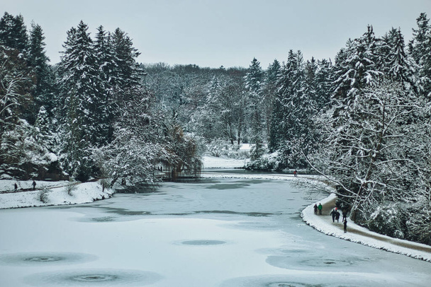 Прухоницкий парк под снегом - Фото, изображение
