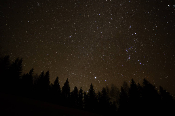 Foresta sullo sfondo del cielo stellato nelle montagne dei Carpazi - Foto, immagini