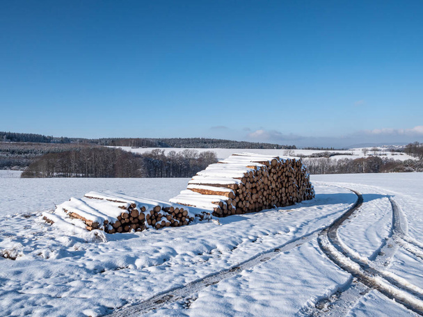 Kışın ağaç gövdelerinde orman çalışmaları - Fotoğraf, Görsel