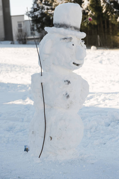 echte sneeuwpop met ogen, oren en neus glimlacht - Foto, afbeelding