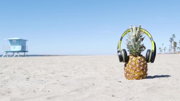Ananász fülhallgatóban, homokos tengerpart. Trópusi nyári egzotikus gyümölcs. Ananák a parton. - Felvétel, videó