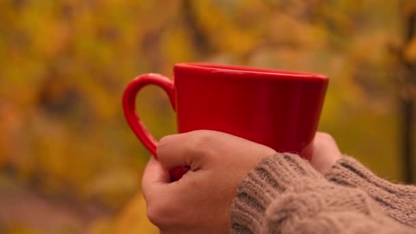 chiudere mani femminili caffè con tazza all'aperto - Filmati, video