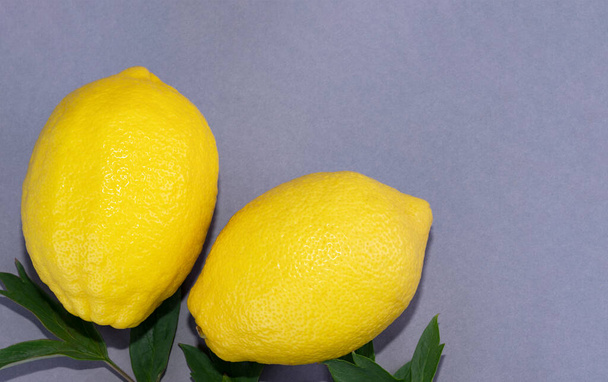 Gelbe Zitronen in Nahaufnahme auf grauem Hintergrund - Foto, Bild