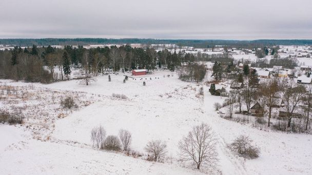 Akniste, Jekabpils, Latvia, Baltics.Beautiful panoramic aerial view photo from flying drone to Akniste city in winter.Beautiful winter view with snowy snow on small town fields and forests. (series) - Foto, afbeelding