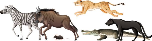 Group of wild african animal on white background illustration - Vector, Image