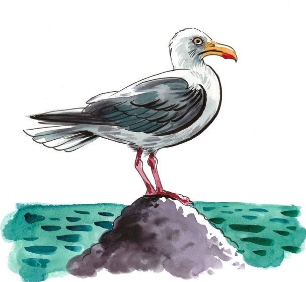 Seagull bird on a rock. Ink and watercolor drawing - Photo, Image
