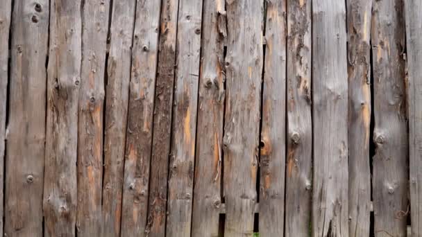 Primo piano dolly shot di fotocamera che si muove lungo una lunga recinzione in legno fatta di tronchi rotondi. Perfetto sfondo rustico o di campagna - Filmati, video
