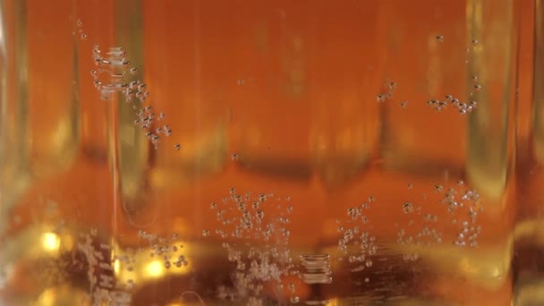 Pouring beer in glass on black background - Footage, Video
