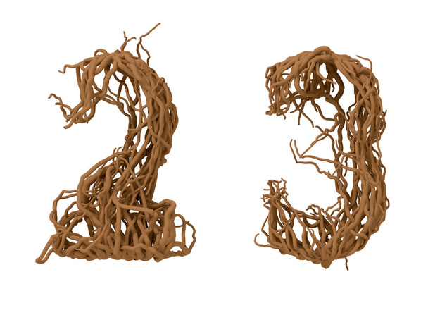 Two and three  vegetal numbers - Photo, Image