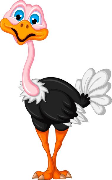 Ostrich cartoon - Vector, Image