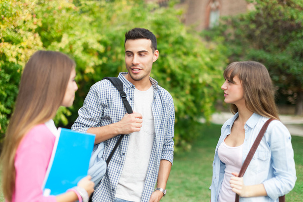 Students talking in a park - 写真・画像