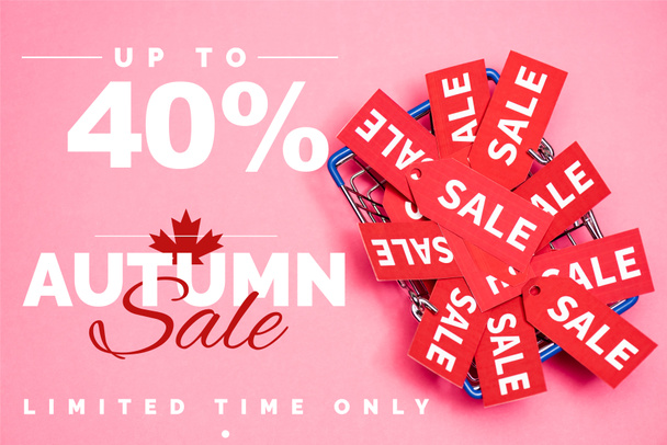 top view of sale tags in shopping basket near up to 40 percent off, autumn sale lettering on pink, black friday concept - Photo, Image