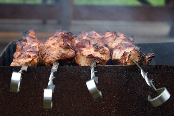 Appetizing grilled meat, barbecue, picnic in nature, close up - Photo, Image