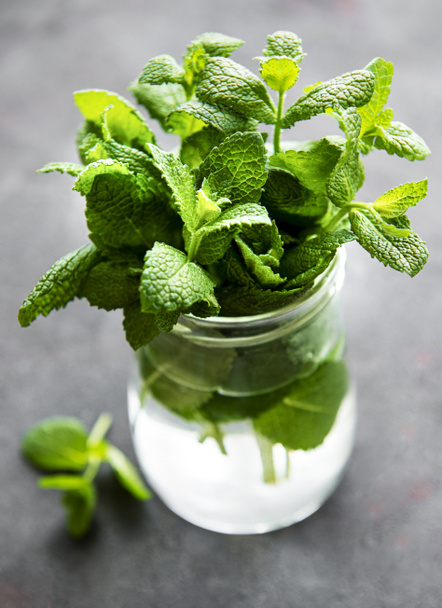 Fresh mint leaves in a small glass jar - Photo, Image