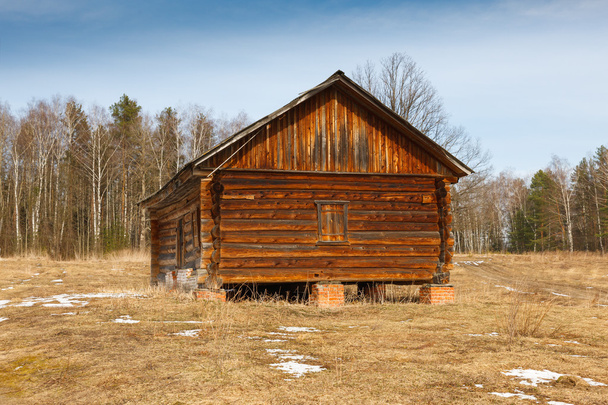 деревянный дом в лесу - Фото, изображение