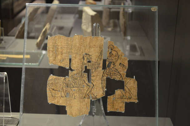 Exhibition of mummies, artifacts and Egyptian finds at the Egyptian Museum of Turin - Photo, Image