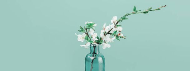 Spring or summer festive blooming with white flowers fruit tree branches in small green glass vase against tender green background. Fresh floral wide background banner with copy space - Foto, afbeelding