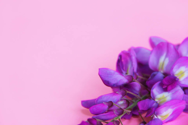 flores de altramuz púrpura con pétalos - Foto, imagen