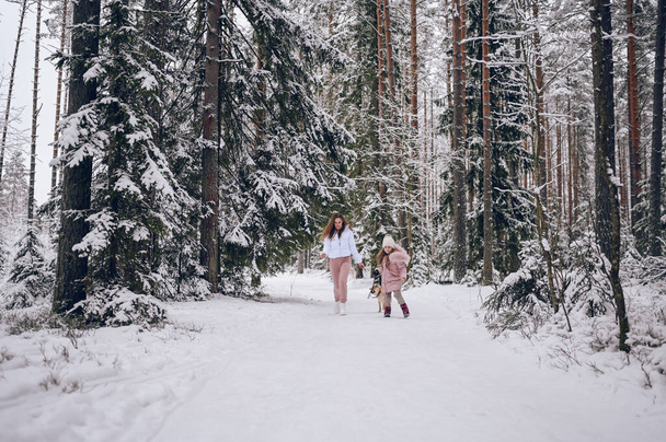 Happy family young mother and little cute girl in pink warm outwear walking having fun with red shiba inu dog in snowy white cold winter forest outdoors. Family sport vacation activities - Foto, afbeelding