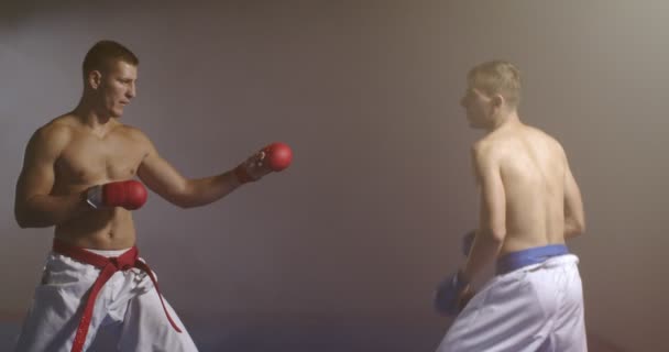 Komea nyrkkeilijä harjoittelee lyöntejä kumppanin kanssa taistelussa - Materiaali, video
