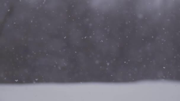 Nieve caída puntos fondo cámara lenta vídeo - Imágenes, Vídeo