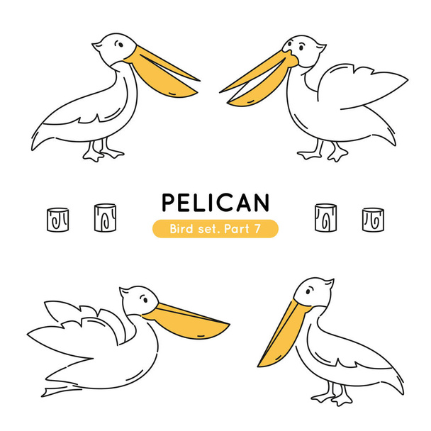 Set of doodle pelicans in various poses. Collection of cute characters isolated. - Vector, Image
