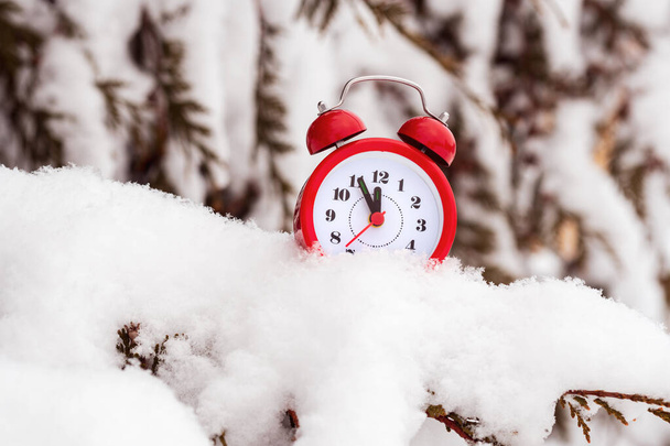 Alarm clock on the snow covered winter spruce - Photo, Image