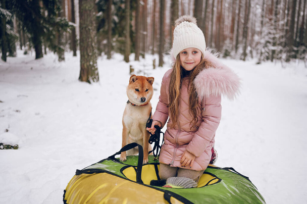 Malá roztomilá dívka v růžové teplé oblečení baví s červenou shiba inu pes jezdí nafukovací sněhové trubice ve sněhobílé zimě venku. Rodinné sportovní rekreační aktivity - Fotografie, Obrázek