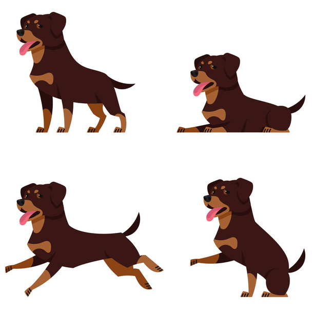  Rottweiler in diverse pose. Bellissimo cane in stile cartone animato. - Vettoriali, immagini