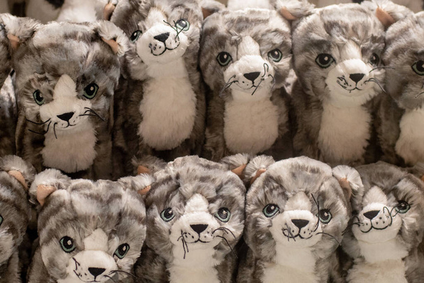 Viele flauschige Katzenplüschtiere gestapelt - Foto, Bild