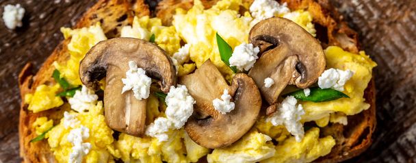 wholewheat toast with scrambled eggs with mushrooms and cottage cheese. healthy breakfast or brunch. banner, menu recipe place for text, top view - Photo, Image