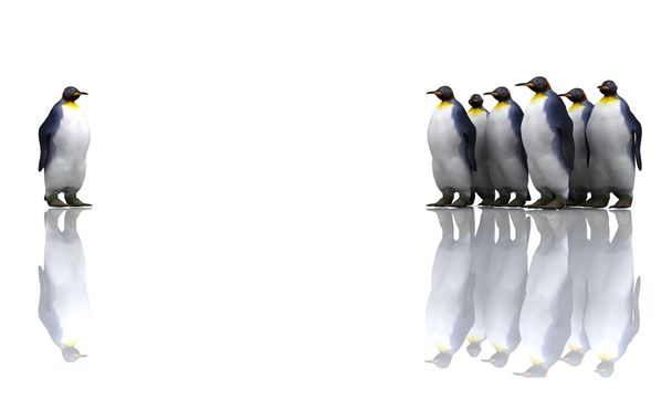 Pingvinek - Fotó, kép