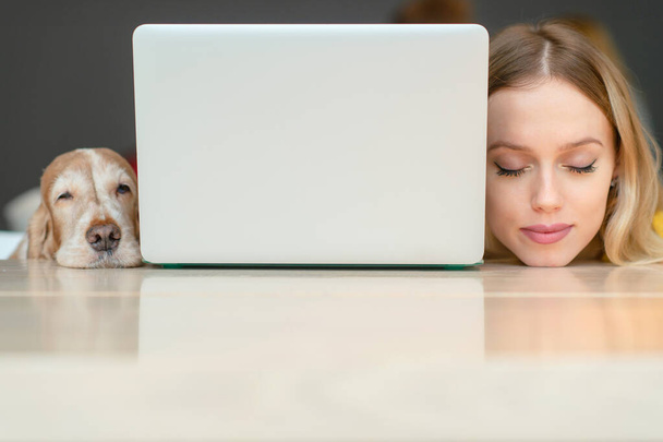 Closeup portrait of blonde woman head and head of her cocker spaniel dog lying togther on a table along the edges of laptop - Valokuva, kuva
