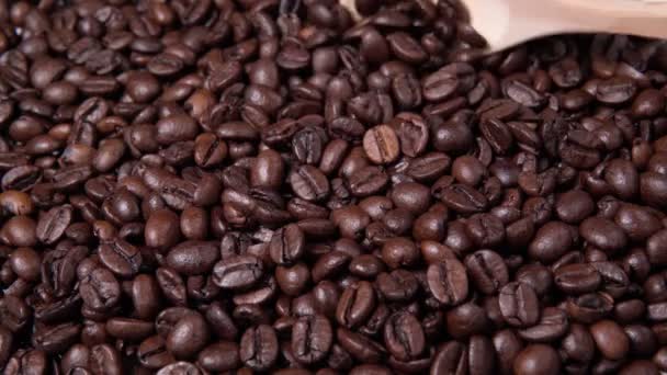 granos de café tostados, primer plano de granos de café. enfoque selectivo - Metraje, vídeo