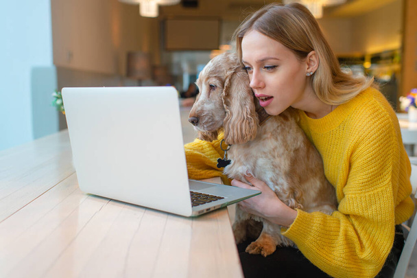 Portrait of beautiful blogger babe with surprised face holding her adorable puppy and using laptop while watching comedy. - Foto, immagini