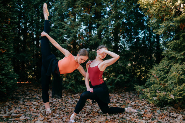 Two young female ballet dancers doing exercices and stretching in park. - Foto, Imagem