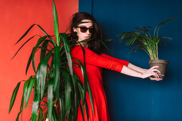 Beautiful fashion girl with long hair,  in sunglasses and red elegant dress posing on blue red wall with green plant at pot in hands. Indoor soft focus portrait of stylish brunette passionate woman  - Фото, изображение