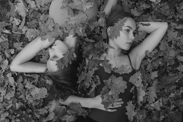 Black and white portrait from above of two pretty tranquil girls covered with oak leaves lying on ground   - Foto, afbeelding
