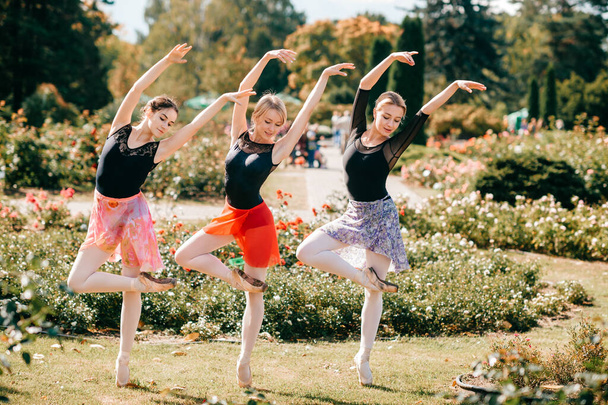 Three graceful women ballet dancers posing  and dancing in summer beautiful park - Foto, imagen