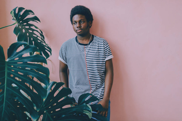 Indoor lifestyle  fashion portrait of dark-skinned african american young man standing on pink wall background with plant branch in front of his face. Black nigerian male looking through palm leaves. - Fotoğraf, Görsel