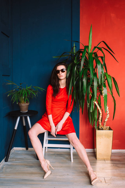 Beautiful fashion slim girl with dark long hair, in red elegant dress and sunglasses posing on blue red wall in studio. Indor soft focus portrait of stylish brunette babe sitting between two plants. - Foto, Bild