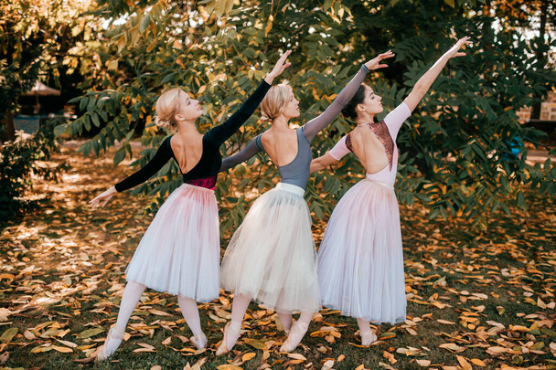 Three ballerina girls posing and dancing in beautiful park. - 写真・画像