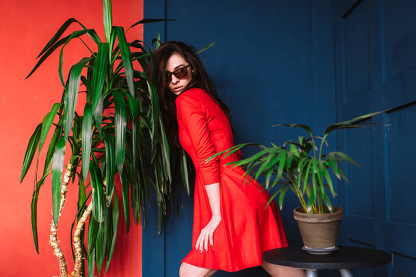 Beautiful fashion girl with long hair,  in sunglasses and red elegant dress posing on blue red wall between green trees. Indoor soft focus portrait of stylish passionate brunette babe - Foto, Imagen