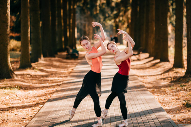 Two beautiful female ballet dancers balancing and dancing in a tree valley - 写真・画像