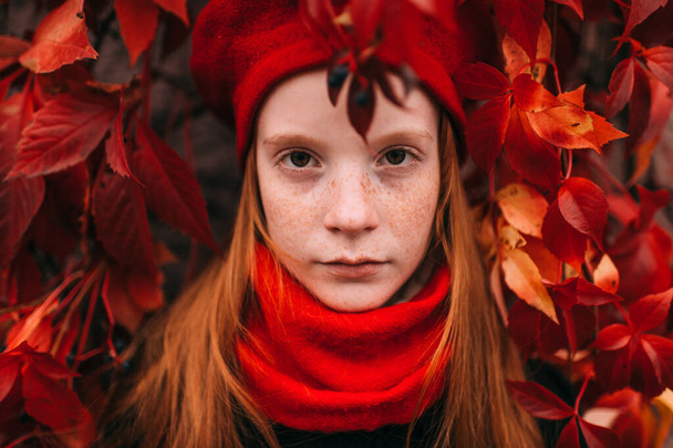 Portrait of positive freckles girl in elegant red beret and scarf posing in autumn ivy wall outdoor. - Valokuva, kuva