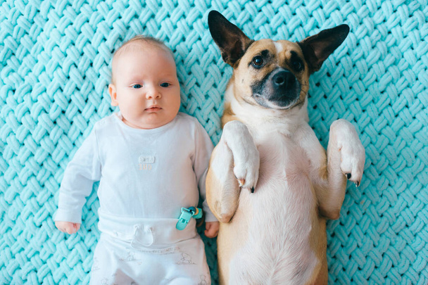 Newborn baby lifestyle soft focus portrait lying on back together with funny puppy on mint woolen plaid. Adorable couple friendship. Lovely little male child relaxing with dog at home. Pet with kid. - Foto, Imagem