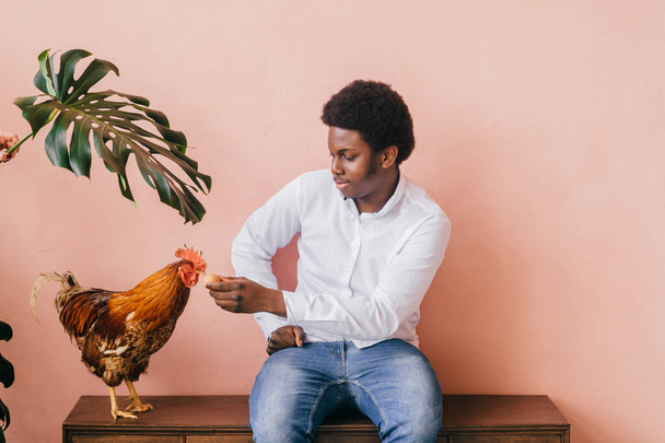 African american man with chicken on pink background in studio. Dark skinned man and his friend - rooster.  - Fotoğraf, Görsel