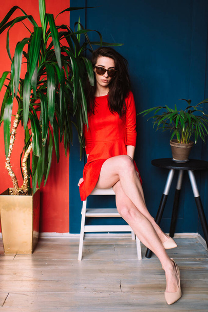 Beautiful fashion slim girl with dark long hair, in red elegant dress and sunglasses posing on blue red wall in studio. Indor soft focus portrait of stylish brunette babe sitting between two plants. - Fotoğraf, Görsel