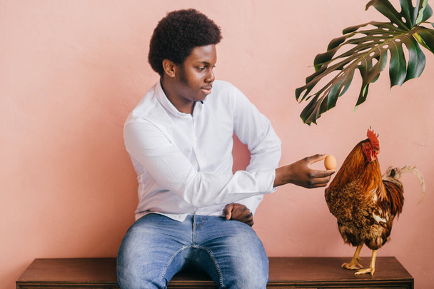 African american man with chicken on pink background in studio. Dark skinned man and his friend - rooster.  - Valokuva, kuva