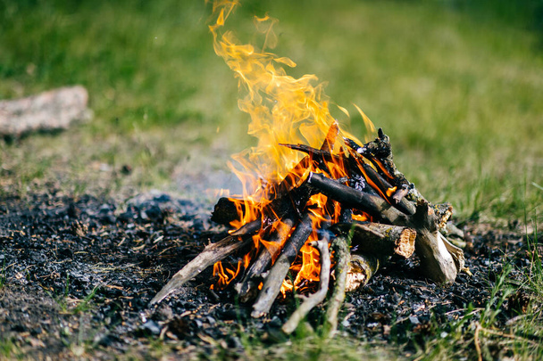 Burning firewood in outdoor summer camp on green abstract background. Travel and tourism. Nature leisure rest. Wood in flame. Lifestyle cozy place for dinner preparation. Smoldering coals and ash - Valokuva, kuva